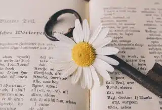 key, old, flower